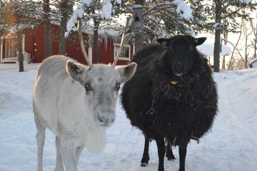 Kelotin Rantamajat Hotel Leppäjärvi Bagian luar foto